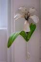 NK2014-05-01_8849-124.jpg