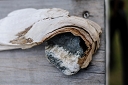 NK2014-05-02_8864-129.jpg