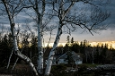 NK2014-05-02_8915-146.jpg