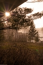 NK2014-05-02_8923-150.jpg