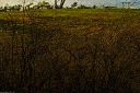 NK2014-05-02_8924-151.jpg