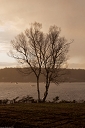 NK2014-05-02_8925-152.jpg