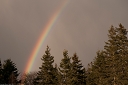 NK2014-05-02_8926-153.jpg