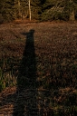 NK2014-05-02_8936-155.jpg