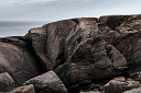 NK2014-05-03_8979-179.jpg