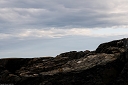 NK2014-05-03_8983-183.jpg