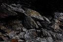 NK2014-05-03_8984-184.jpg