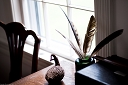 NK2014-05-04_9027-194.jpg