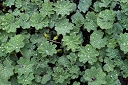 NK2014-05-04_9029-196.jpg