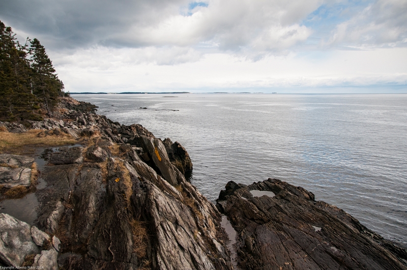 nk2014-04-27_8635-34.jpg