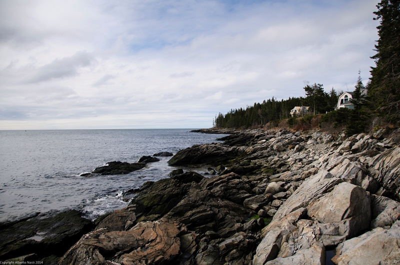 nk2014-04-28_8692-52.jpg