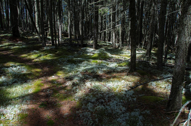 nk2014-04-29_8789-99.jpg