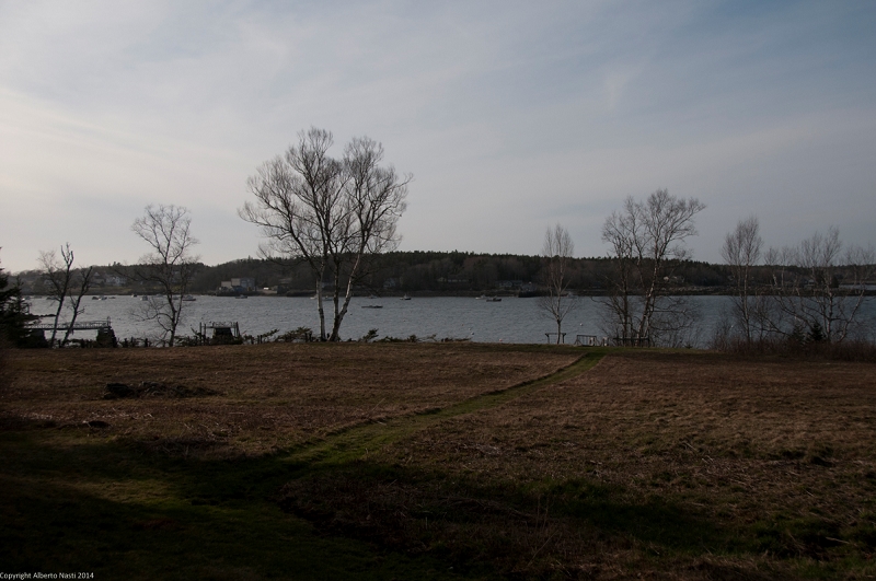 nk2014-04-29_8798-103.jpg