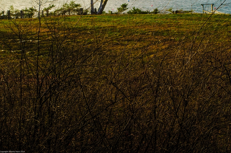 nk2014-05-02_8924-151.jpg
